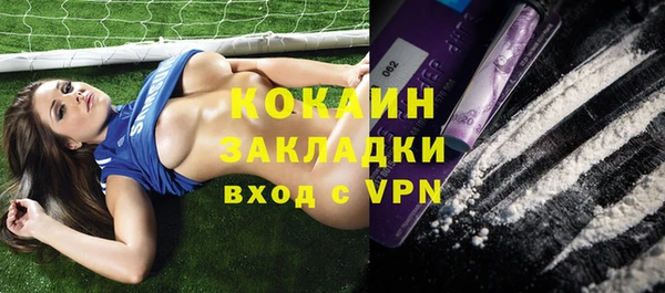 крисы Армянск