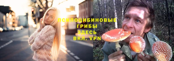 крисы Армянск